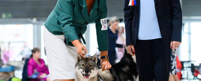 shikoku Yasuji World Winner 2021 + Best Oppesite Sex