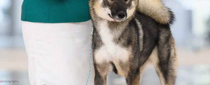 Shikoku Tinako Junior World Winner 2021