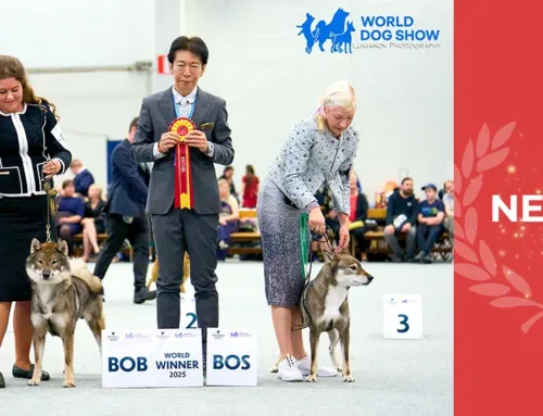 World Dog Show 2025 Helsinki