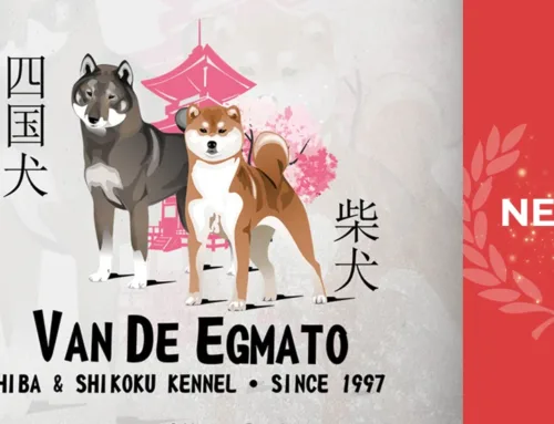 Celebrating 42 Years of v.d Egmato Kennel